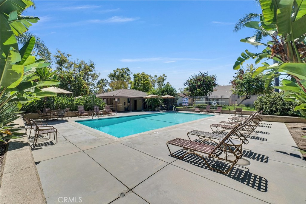 146 Orchard Property Photo 36