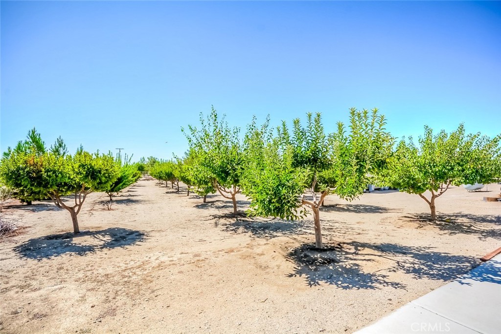 13830 Paramount Property Photo 2