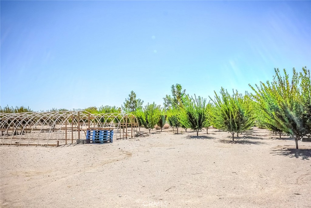 13830 Paramount Property Photo 19