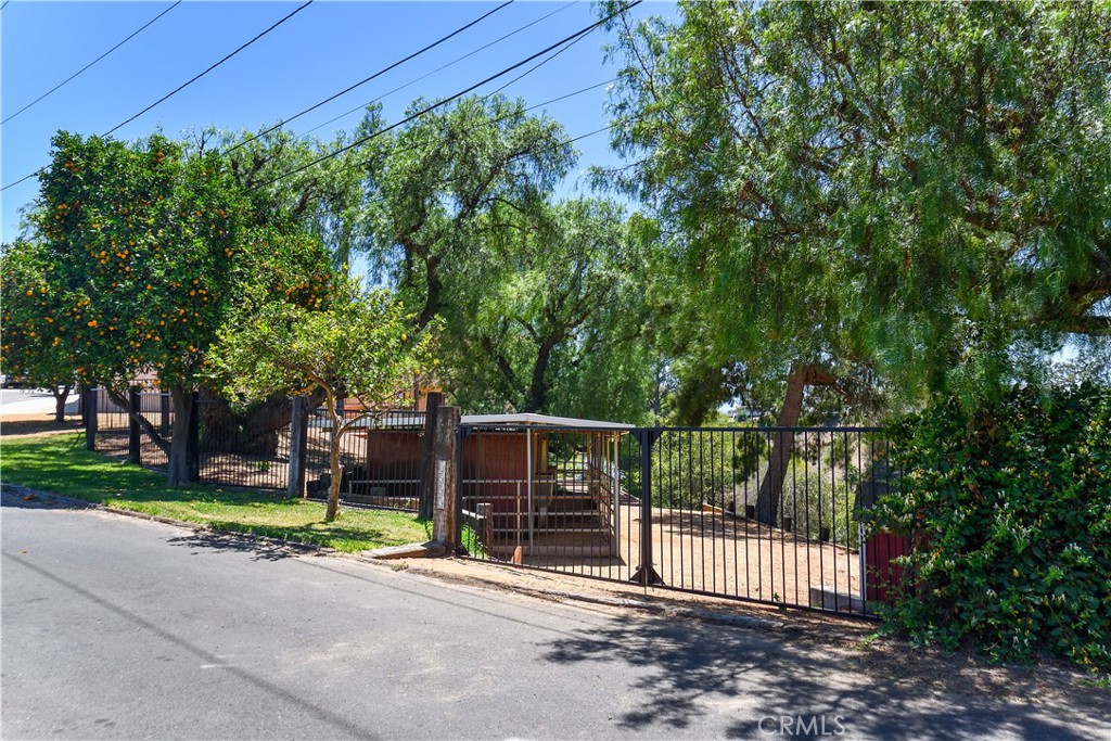 1553 Amate Property Photo 7