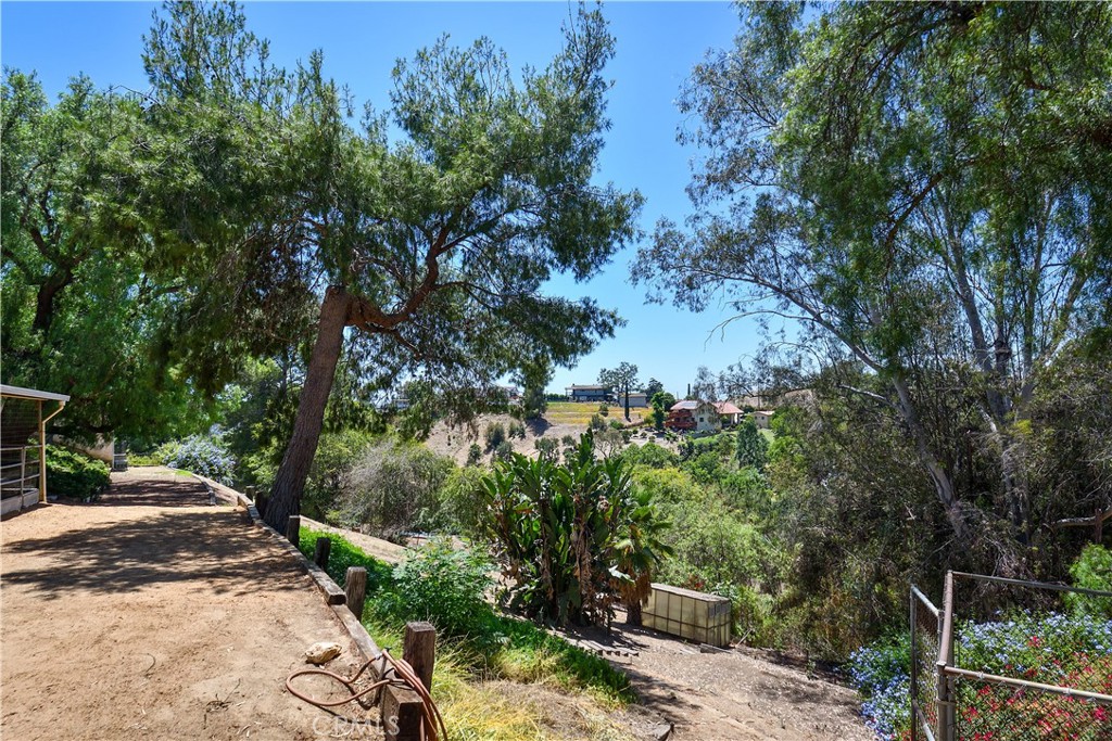 1553 Amate Property Photo 56