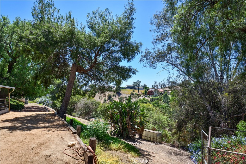 1553 Amate Property Photo 56
