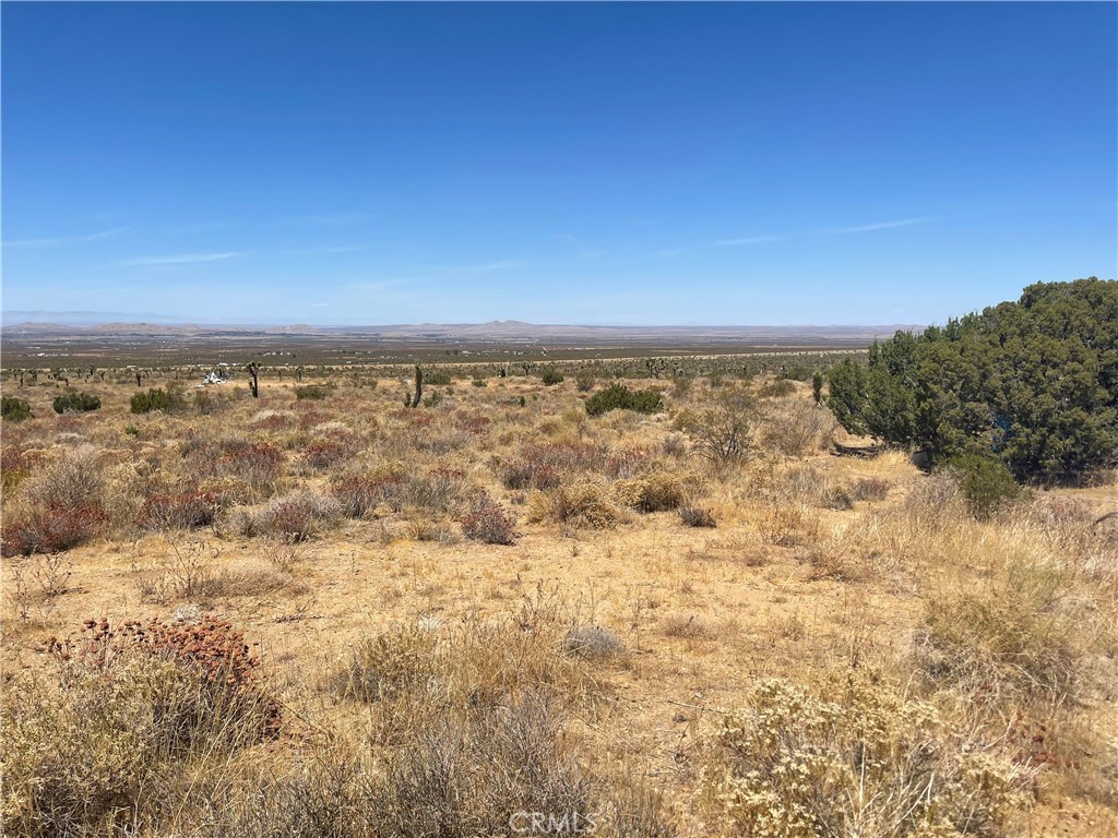 0 Vac Fort Tejon Drt Vic Property Photo 2