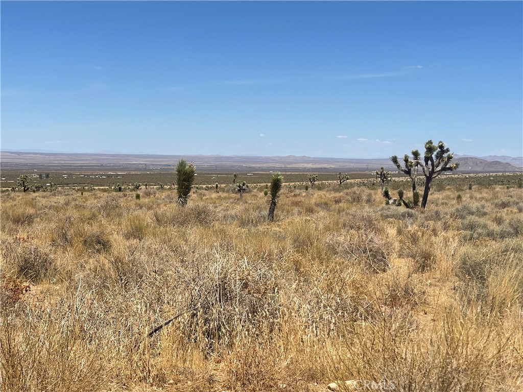0 Vac Fort Tejon Drt Vic Property Photo 8