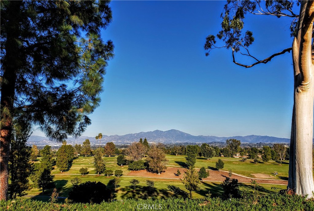 2311 Via Puerta B Property Photo 34