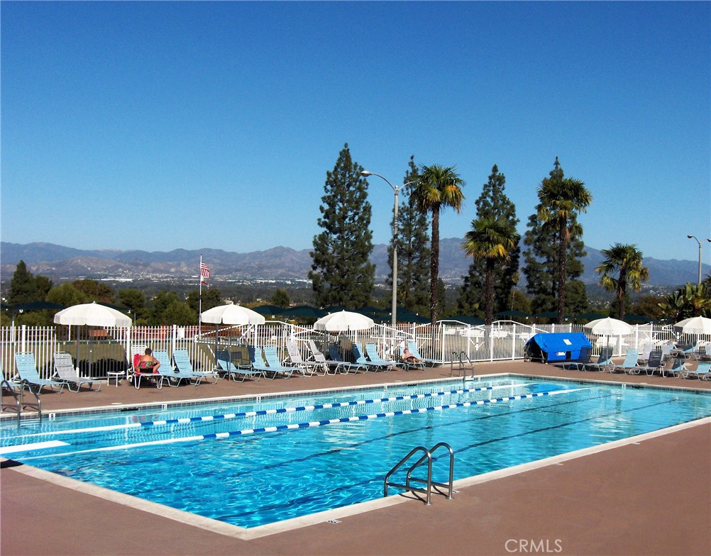 2311 Via Puerta B Property Photo 38