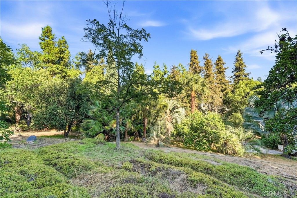 1749 West Property Photo 44