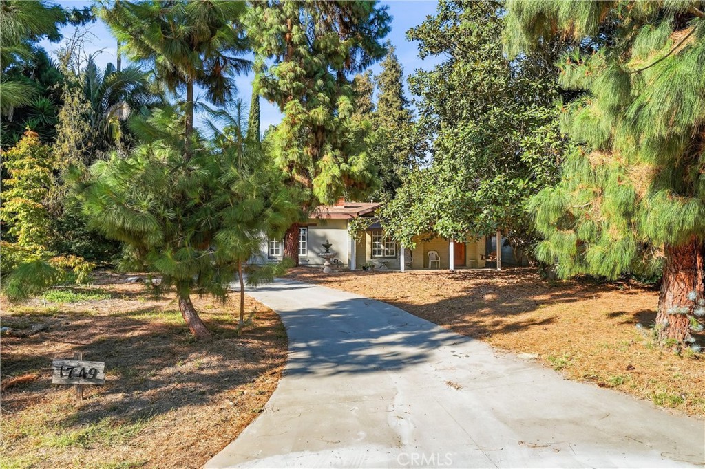 1749 West Property Photo 48