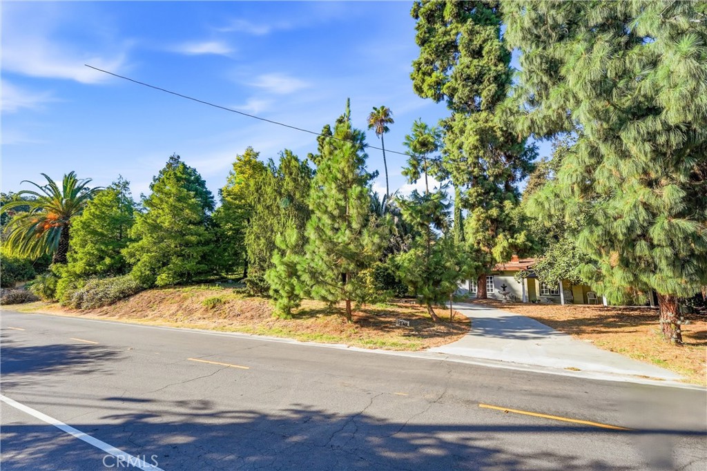 1749 West Property Photo 49