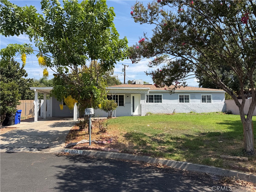 6603 Mitad Court Property Photo 1