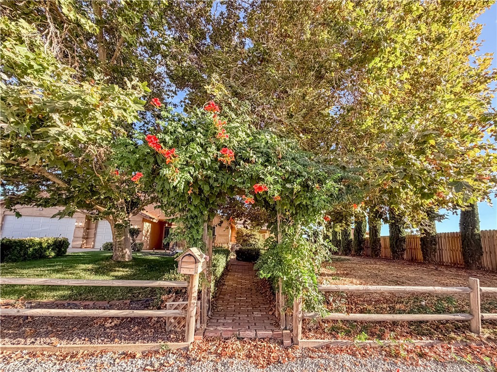 10011 Solano Property Photo 6