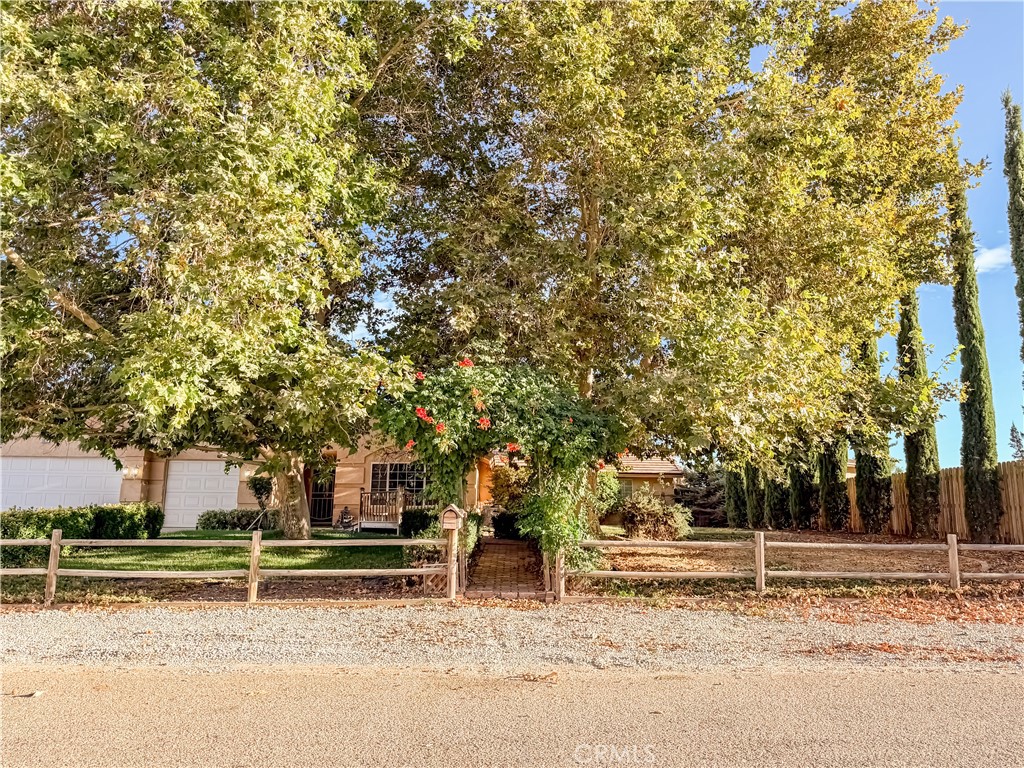 10011 Solano Property Photo 8