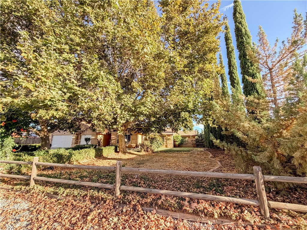10011 Solano Property Photo 9