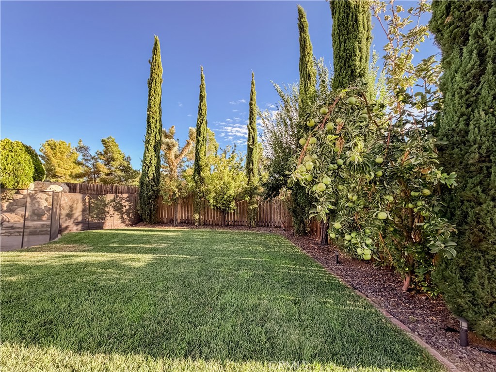10011 Solano Property Photo 52