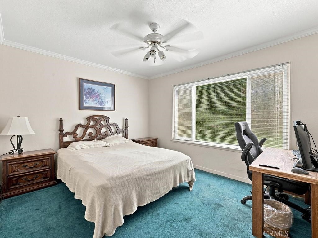 10443 Camden Drive Property Photo 22