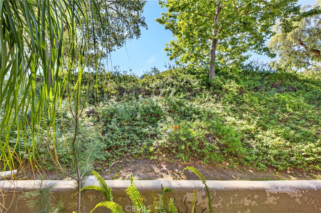 96 Abrigo Property Photo 25