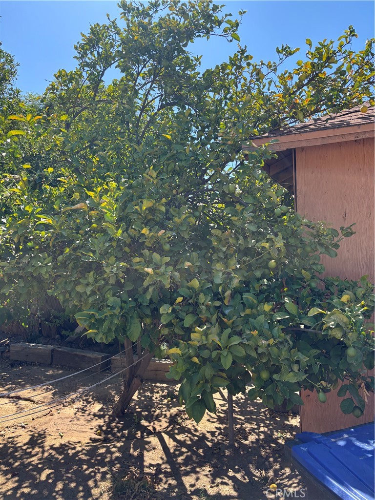 242 E M Property Photo 13