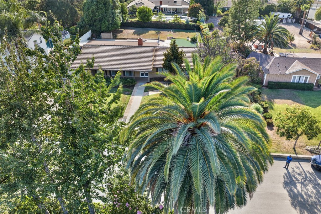 1524 Dwight Property Photo 26