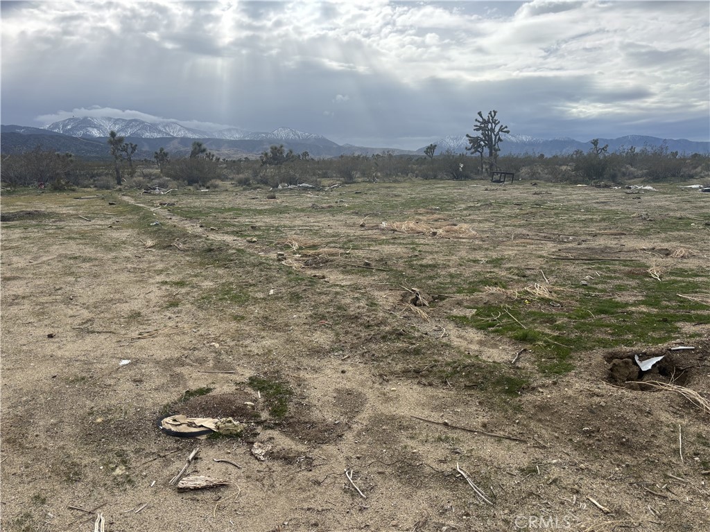 0 Vac/ave X Drt /vic 207 Ste Property Photo 1