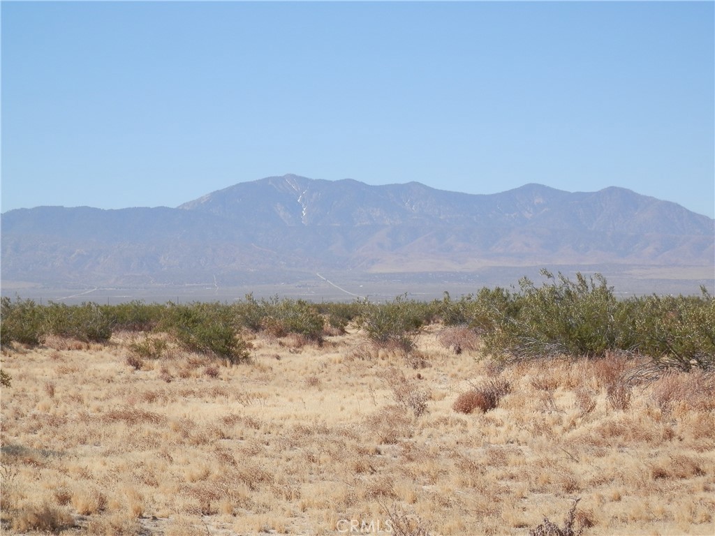 0 Gaceta Avenue Property Photo 4