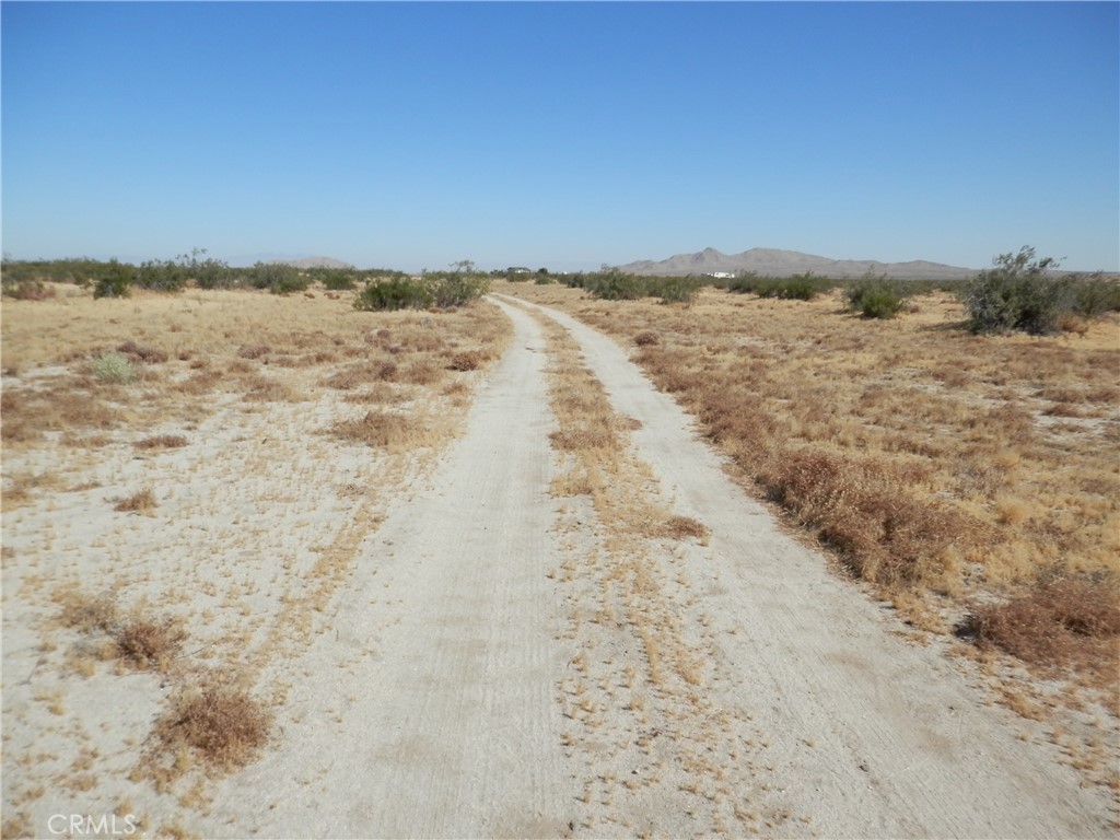 0 Gaceta Avenue Property Photo 6