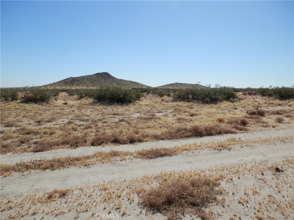 0 Gaceta Avenue Property Photo 7