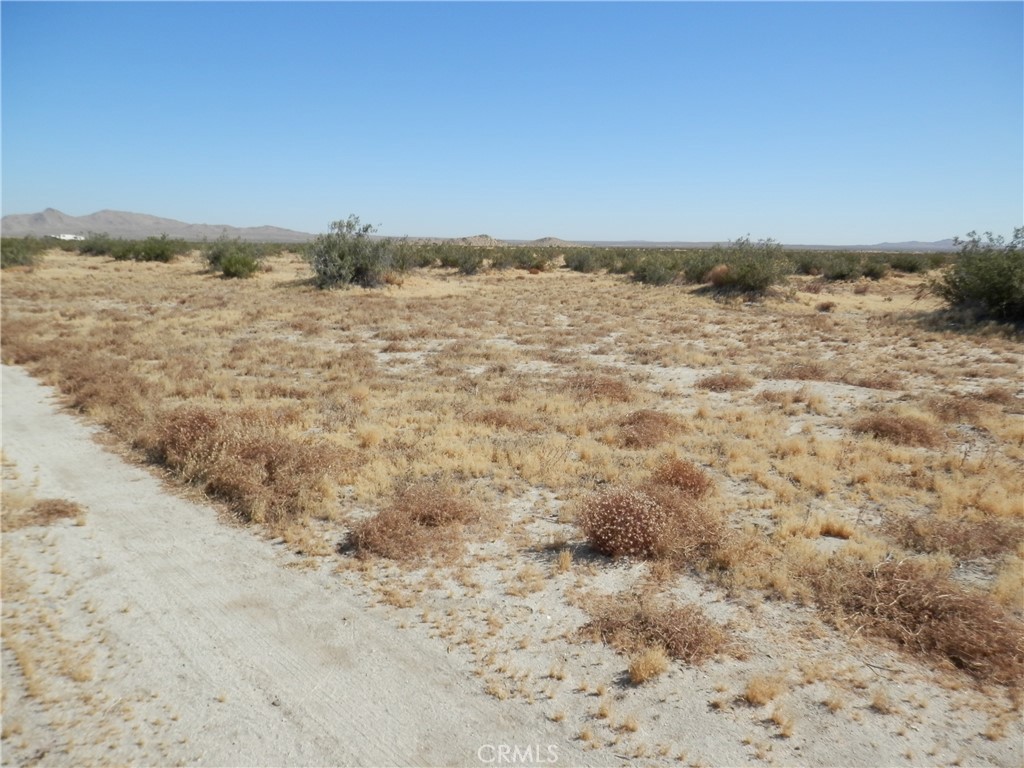 0 Gaceta Avenue Property Photo 9