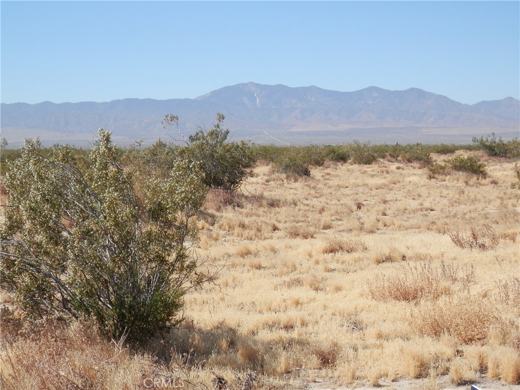 0 Gaceta Avenue Property Photo 11