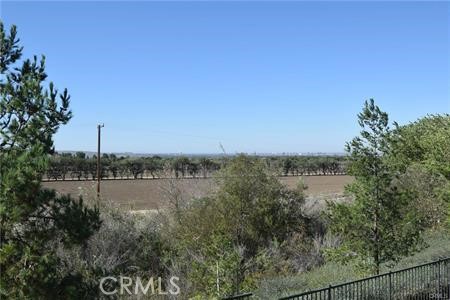 24 Cactus Bloom Property Photo 7