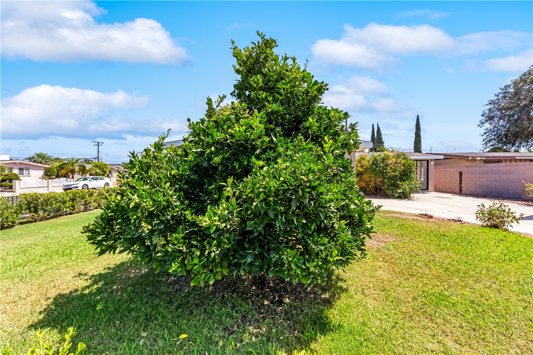 11892 Sandy Property Photo 64