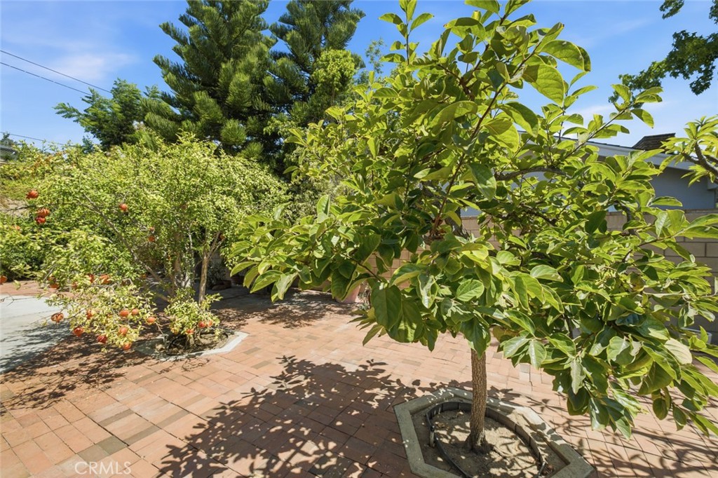 1413 Virginia Road Property Photo 35