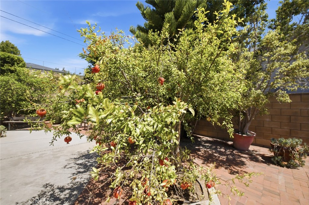 1413 Virginia Road Property Photo 36