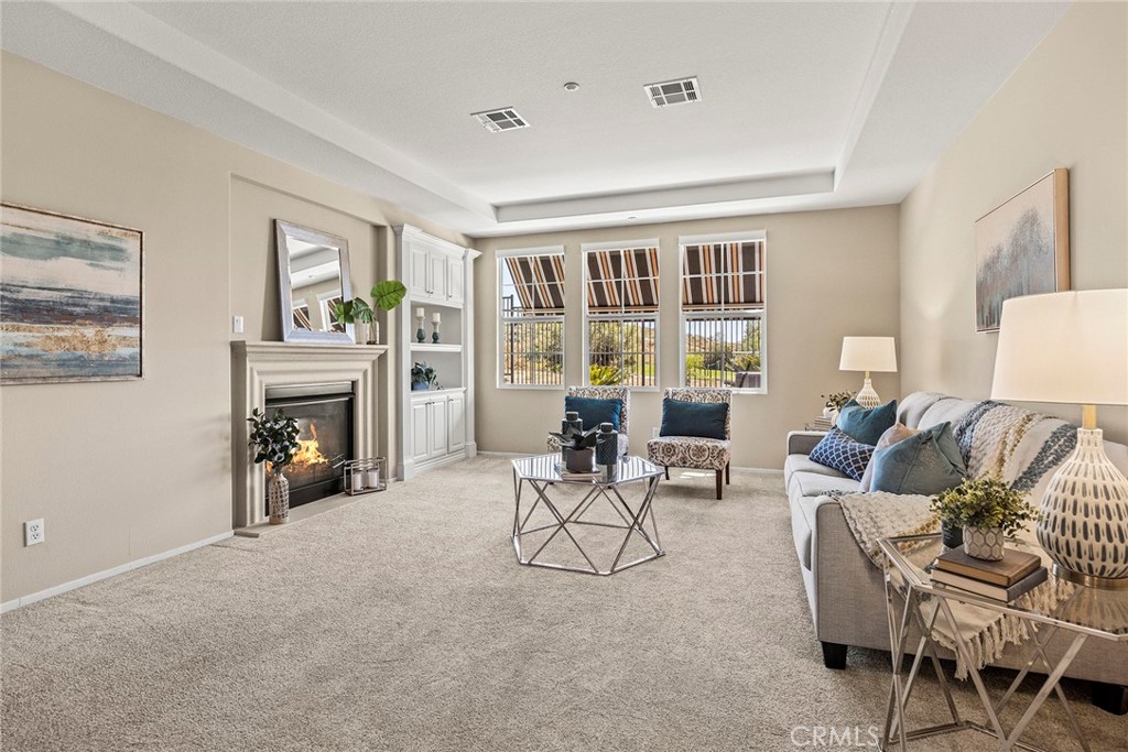 17206 Coriander Court Property Photo 7