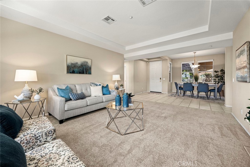 17206 Coriander Court Property Photo 9
