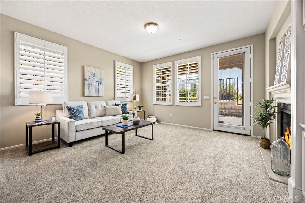 17206 Coriander Court Property Photo 11