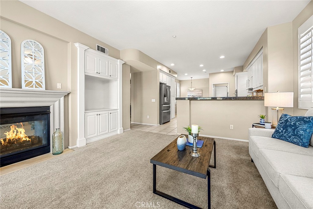 17206 Coriander Court Property Photo 14