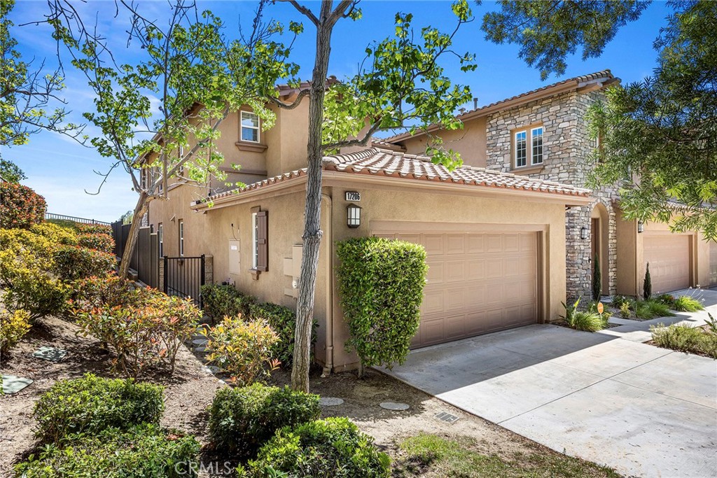 17206 Coriander Court Property Photo 46