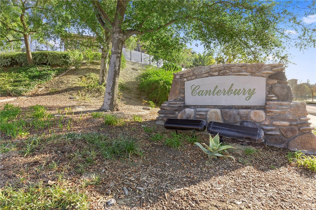 17206 Coriander Court Property Photo 55