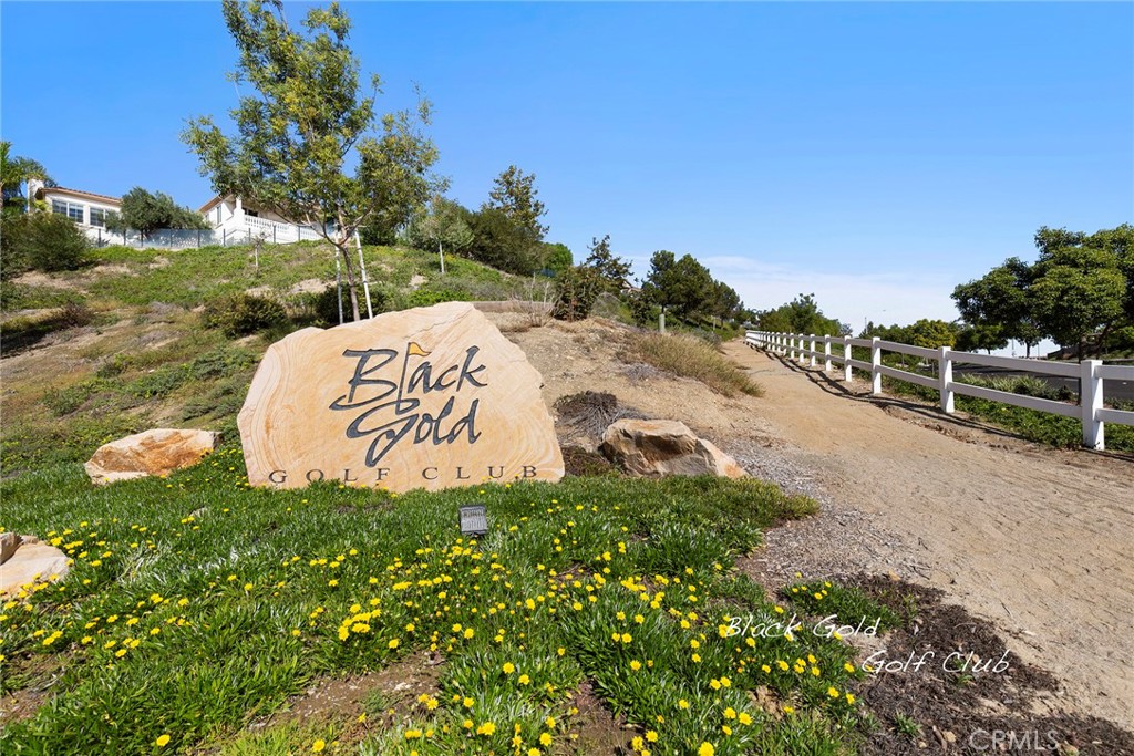17206 Coriander Court Property Photo 60