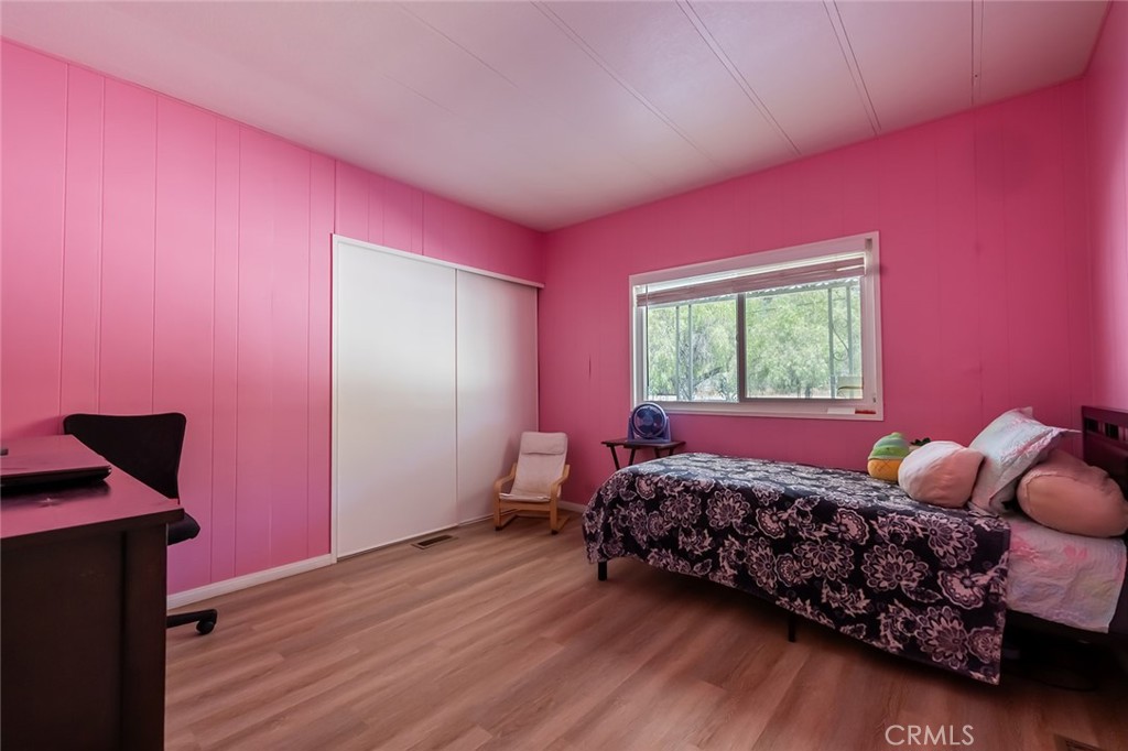 29665 Alicante Drive Property Photo 20