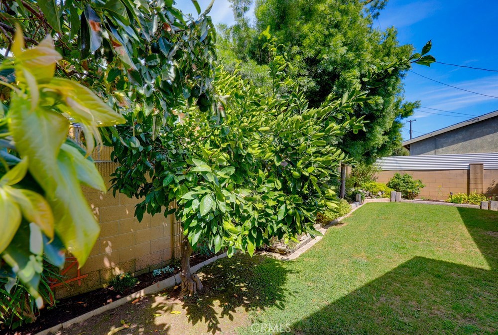 5321 Park Avenue Property Photo 53