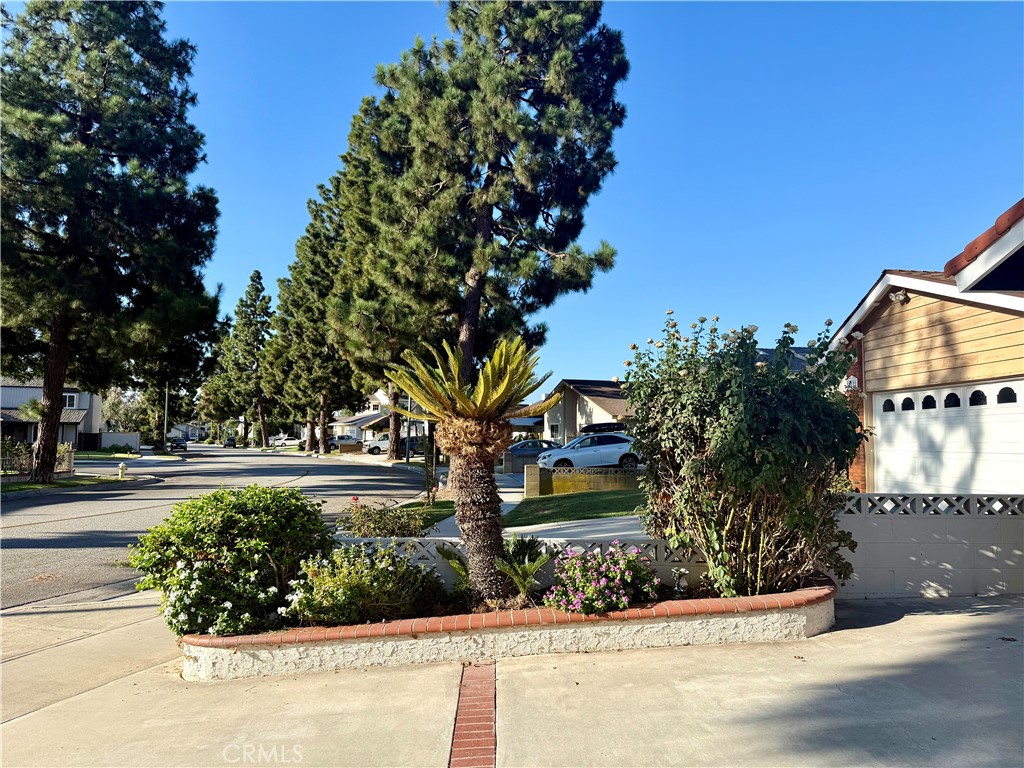 19115 Wiersma Property Photo 6
