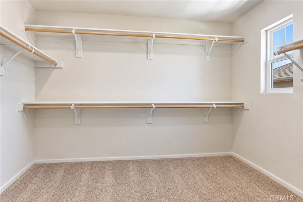 10832 Quarter Horse Avenue Property Photo 19