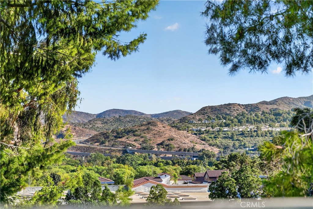 24604 Via Vallarta Property Photo 6