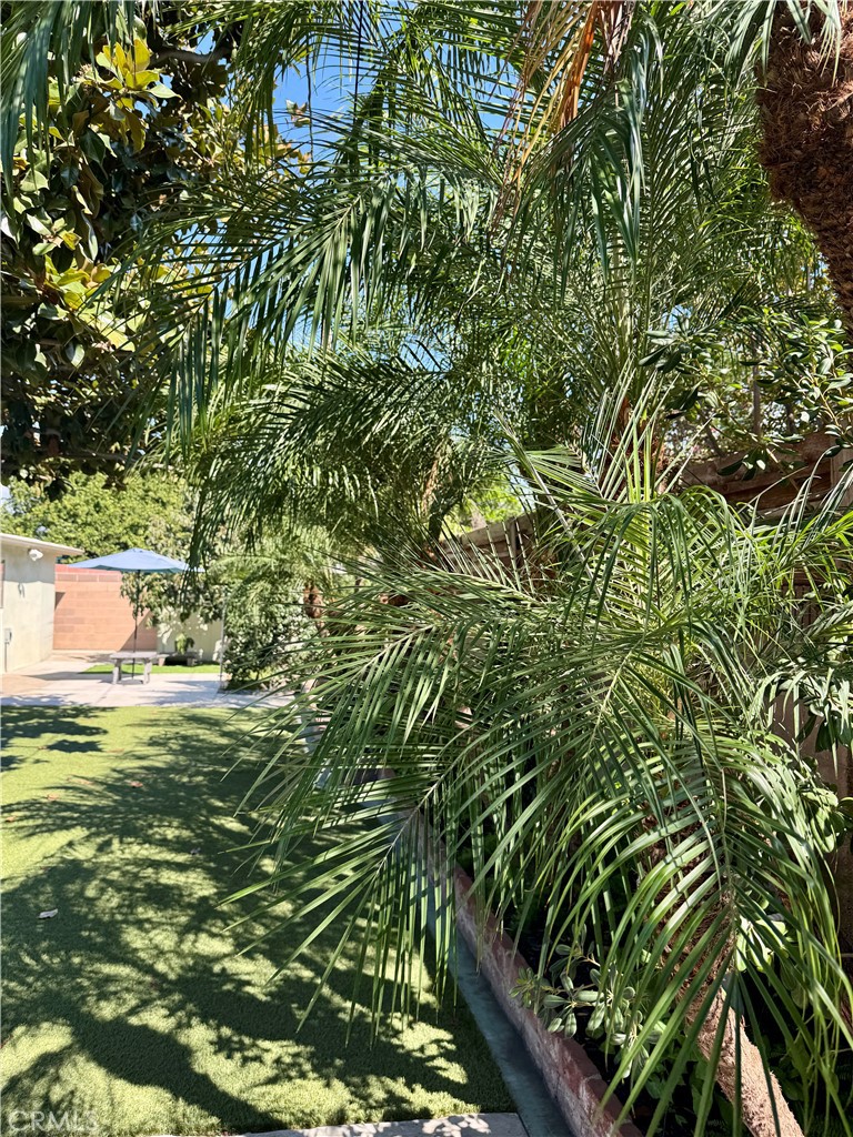 2019 Valencia Property Photo 49