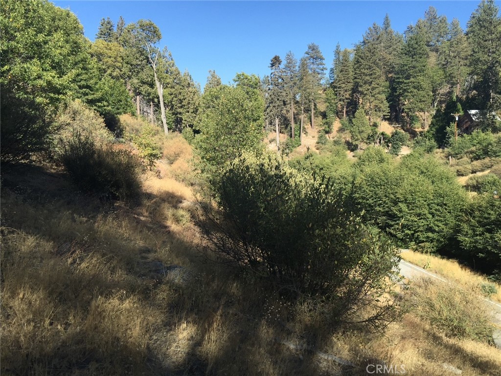 29749 Redwood Property Photo 2