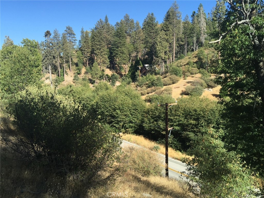 29749 Redwood Property Photo 4