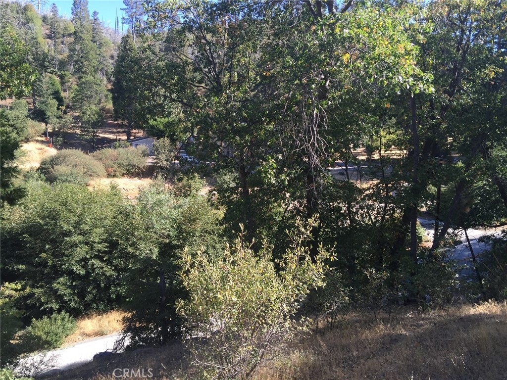 29749 Redwood Property Photo 5