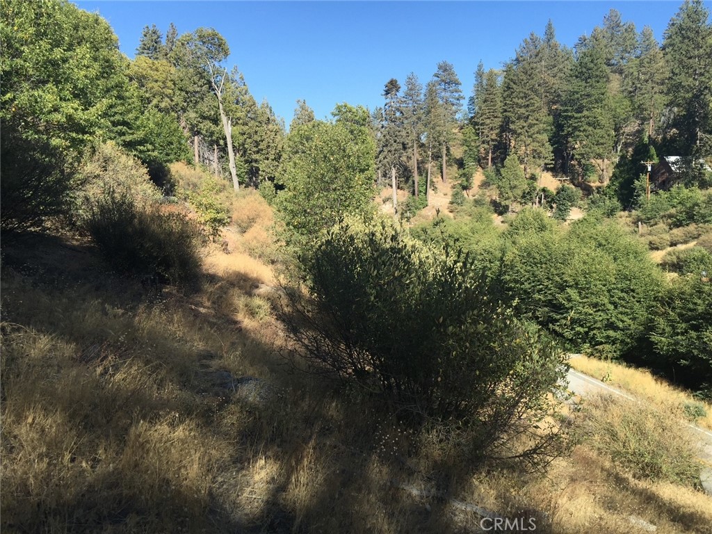 29751 Redwood Property Photo 2