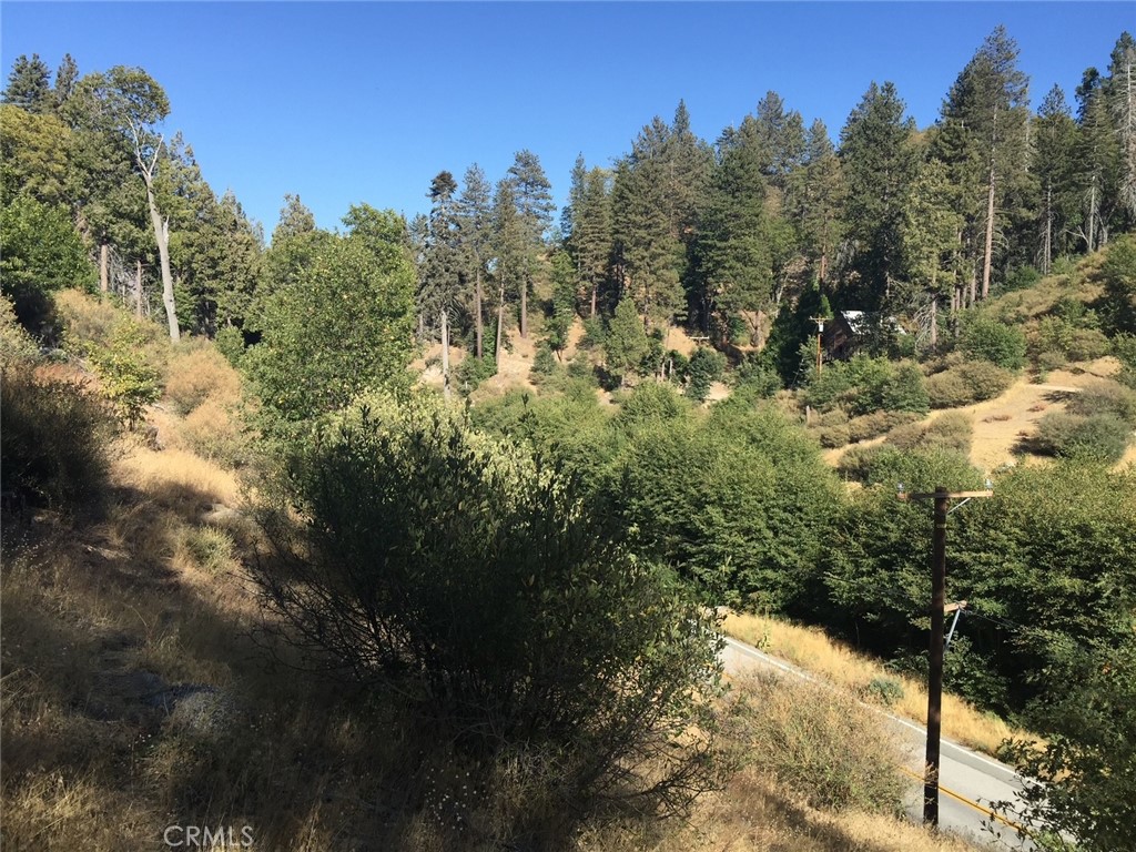 29751 Redwood Property Photo 3